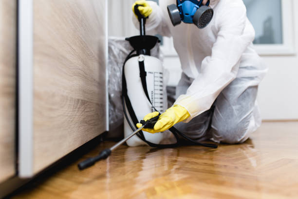 Wasp Removal Services in Radford, VA