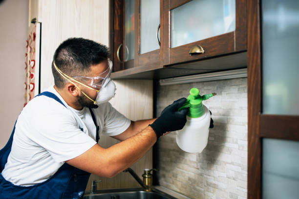 Best Flea Control Services  in Radford, VA