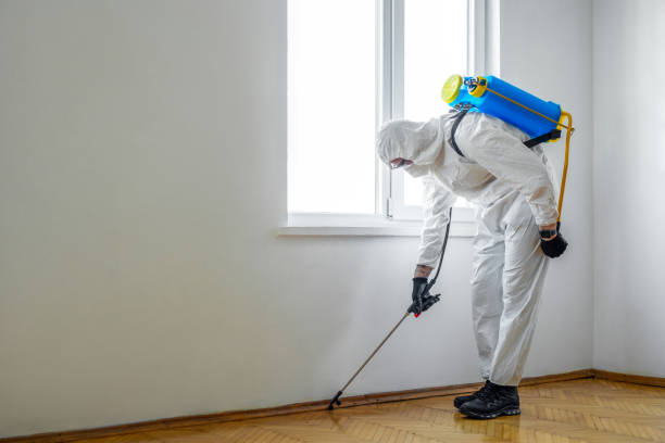 Best Commercial Pest Control Services  in Radford, VA