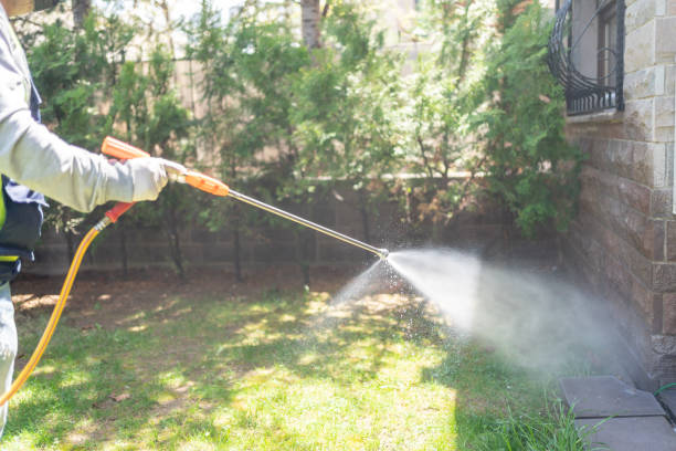 Wasp Removal Services in Radford, VA