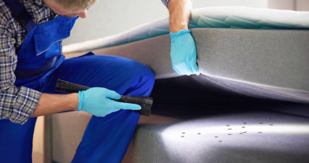 Best Ant Control Services  in Radford, VA