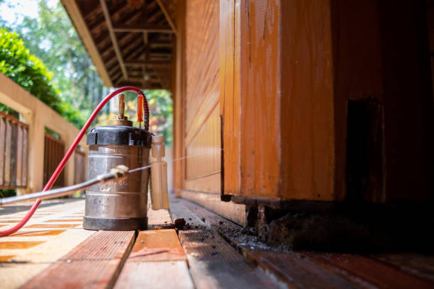 Best Pest Control for Restaurants  in Radford, VA
