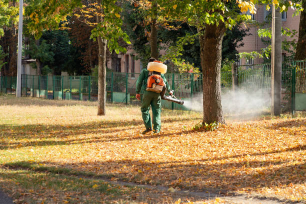 Best Best Pest Control Near Me  in Radford, VA
