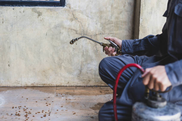 Best Pest Control Treatment  in Radford, VA